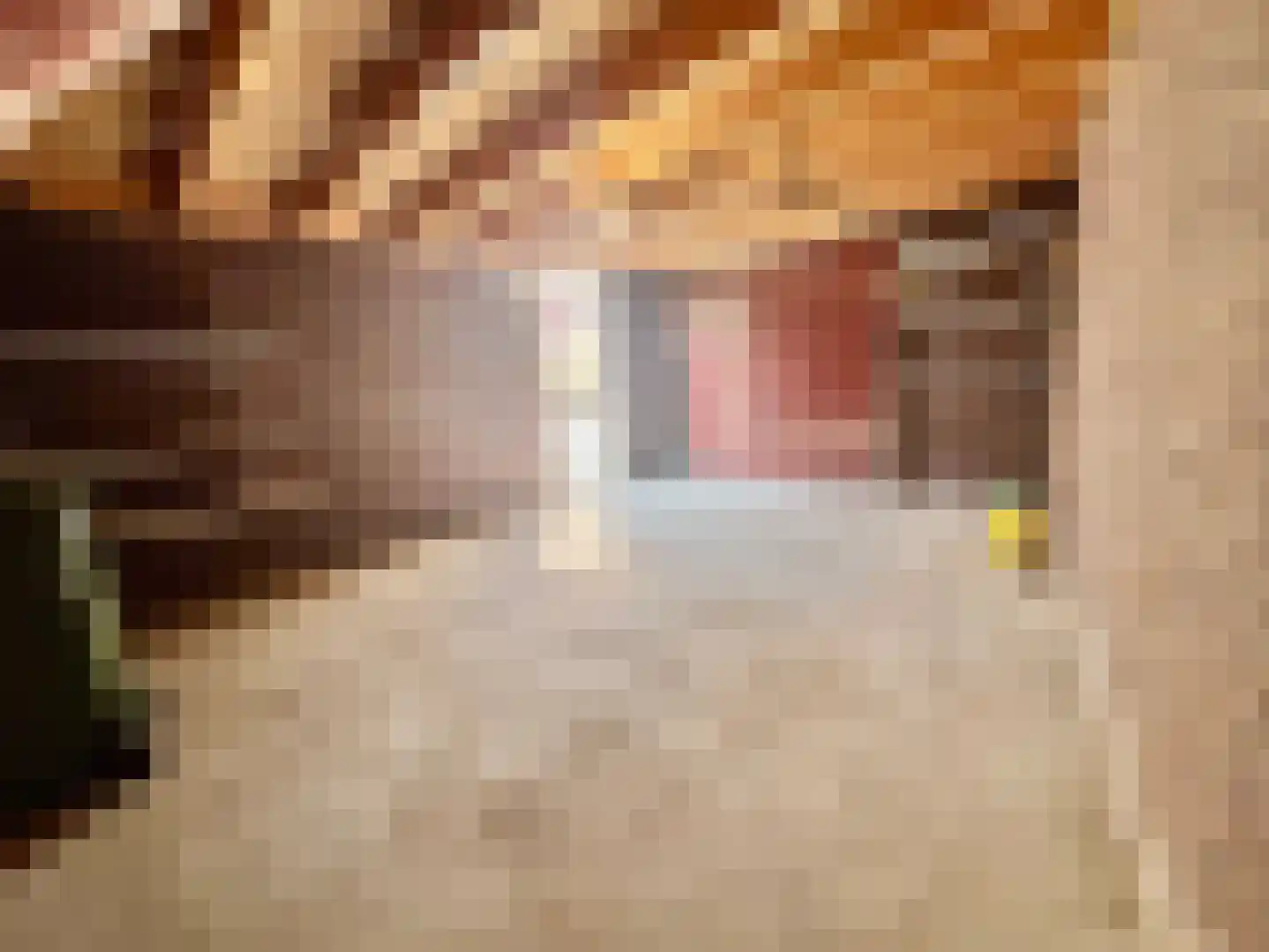 Eykerstokweg 38 a Heythuysen thumbnail 30