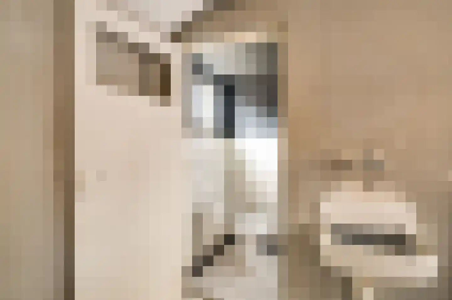 Eykerstokweg 6 Heythuysen thumbnail 17