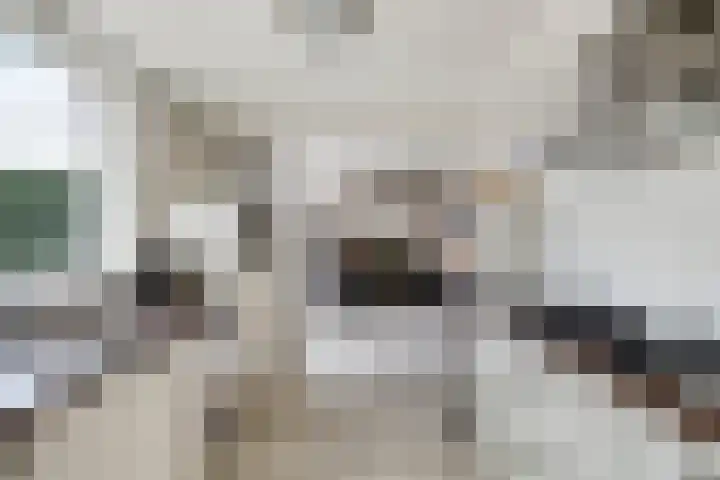 Eykerstokweg 88 Heythuysen thumbnail 11