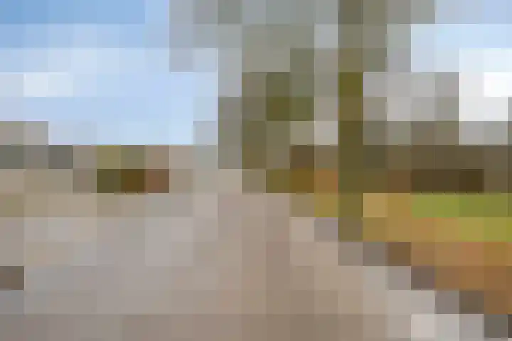 Eykerstokweg 88 Heythuysen thumbnail 27