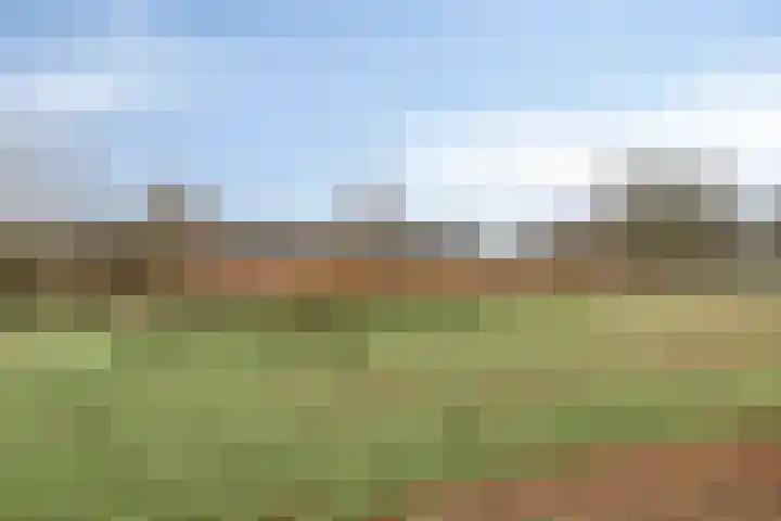 Eykerstokweg 88 Heythuysen thumbnail 29