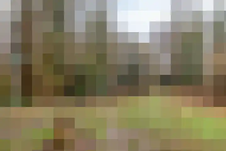 Eykerstokweg 88 Heythuysen thumbnail 30