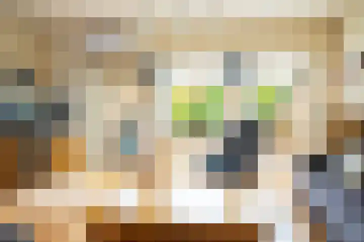 Eykmanhof 43 Hoogeveen thumbnail 11