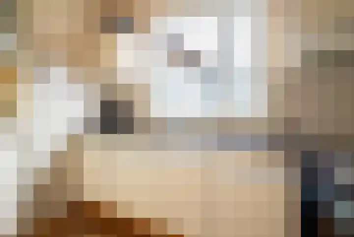 Eykmanhof 43 Hoogeveen thumbnail 13