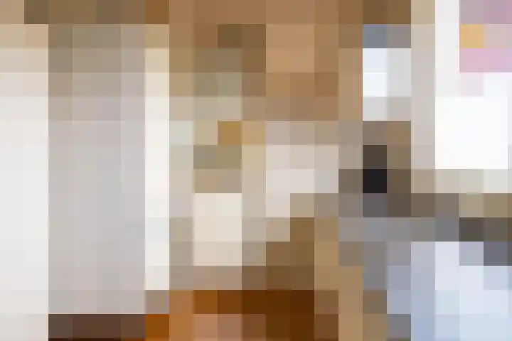 Eykmanhof 43 Hoogeveen thumbnail 15