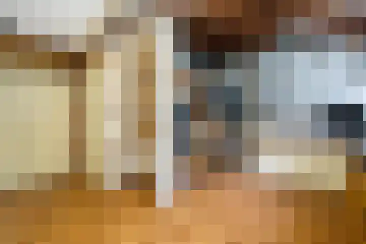 Eykmanhof 43 Hoogeveen thumbnail 24