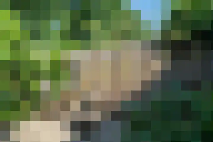 Eykmanhof 43 Hoogeveen thumbnail 26
