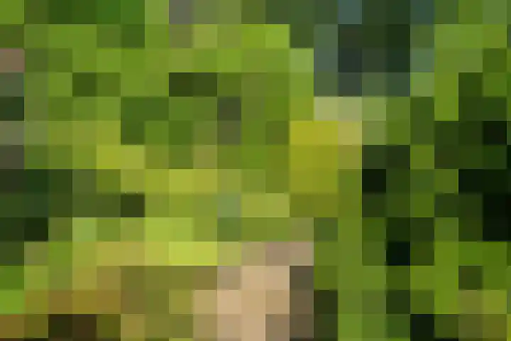 Eykmanhof 43 Hoogeveen thumbnail 27