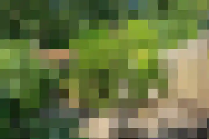 Eykmanhof 43 Hoogeveen thumbnail 28