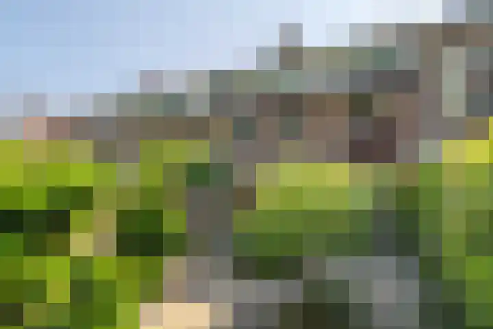 Eykmanhof 43 Hoogeveen thumbnail 29