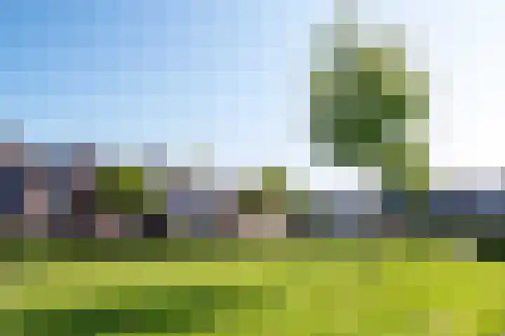 Eykmanhof 43 Hoogeveen thumbnail 36