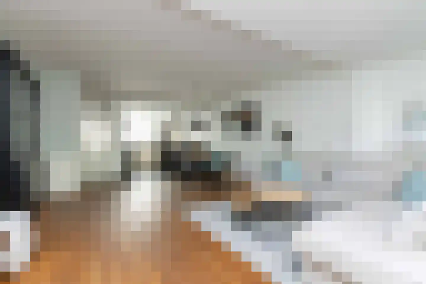 Eykmanhof 47 Hoogeveen thumbnail 11