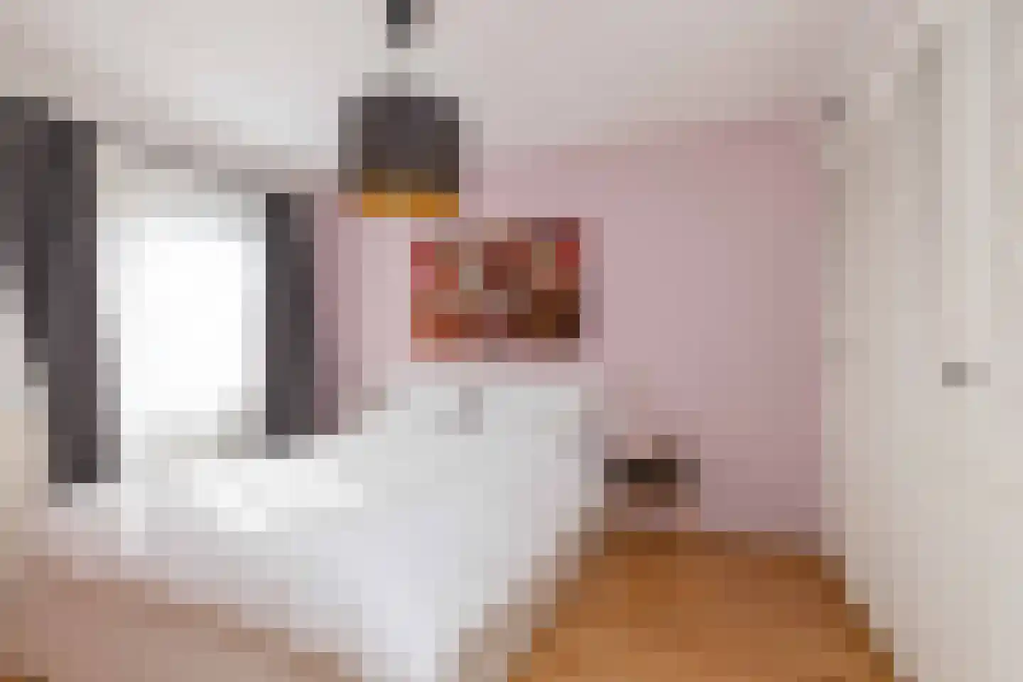Eykmanhof 47 Hoogeveen thumbnail 20