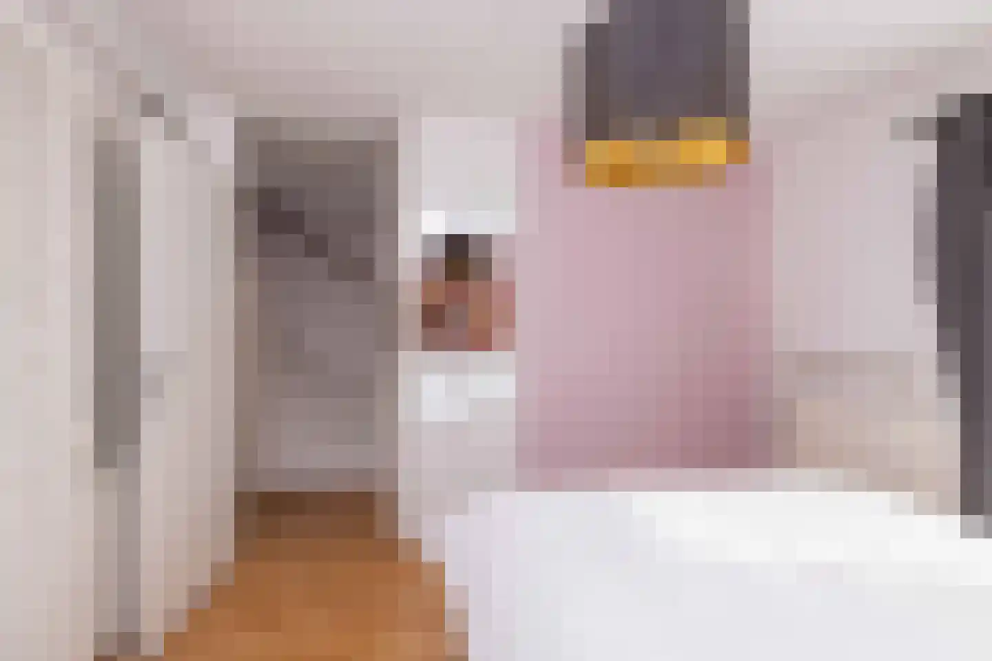 Eykmanhof 47 Hoogeveen thumbnail 21