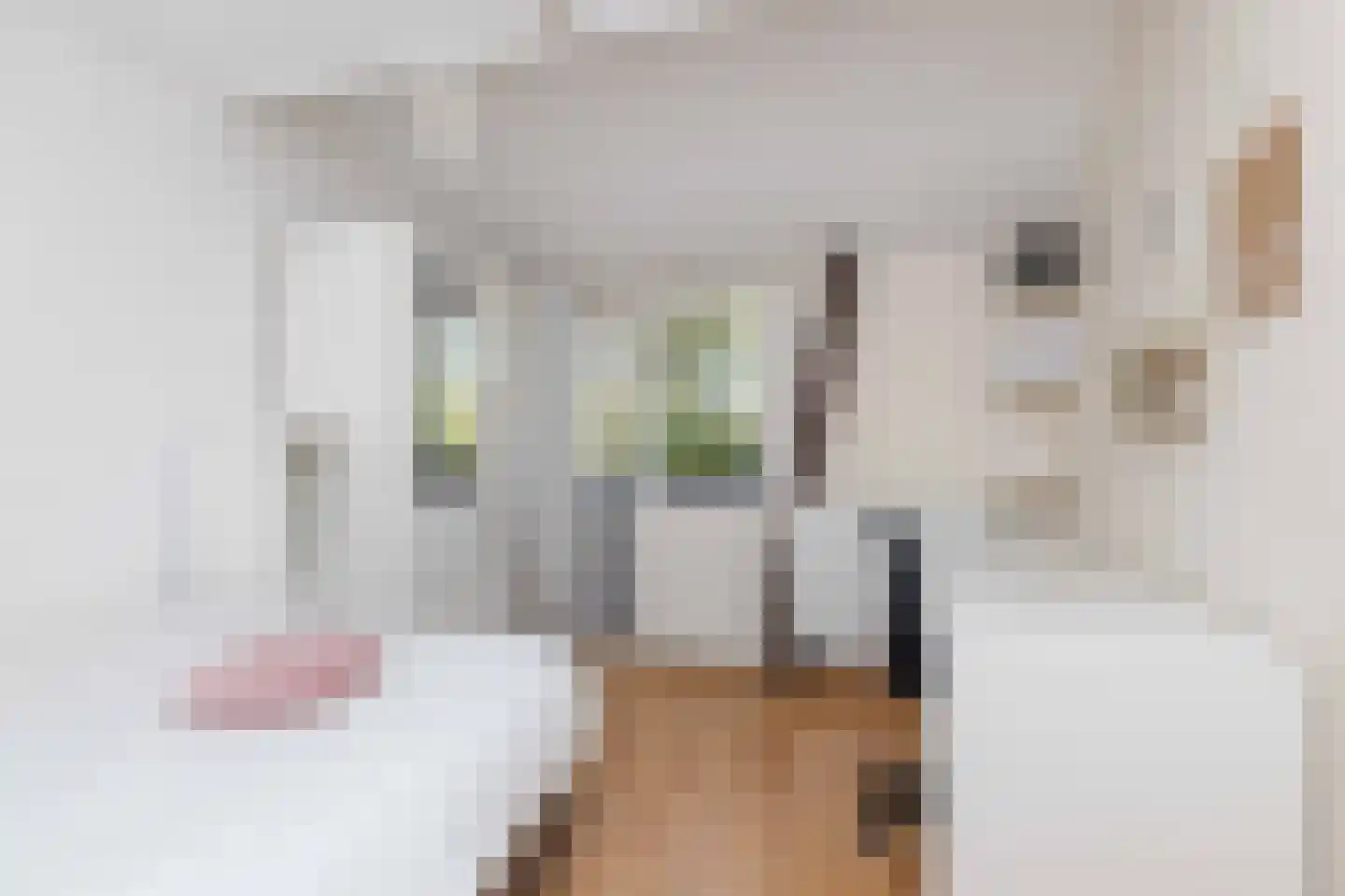 Eykmanhof 47 Hoogeveen thumbnail 22
