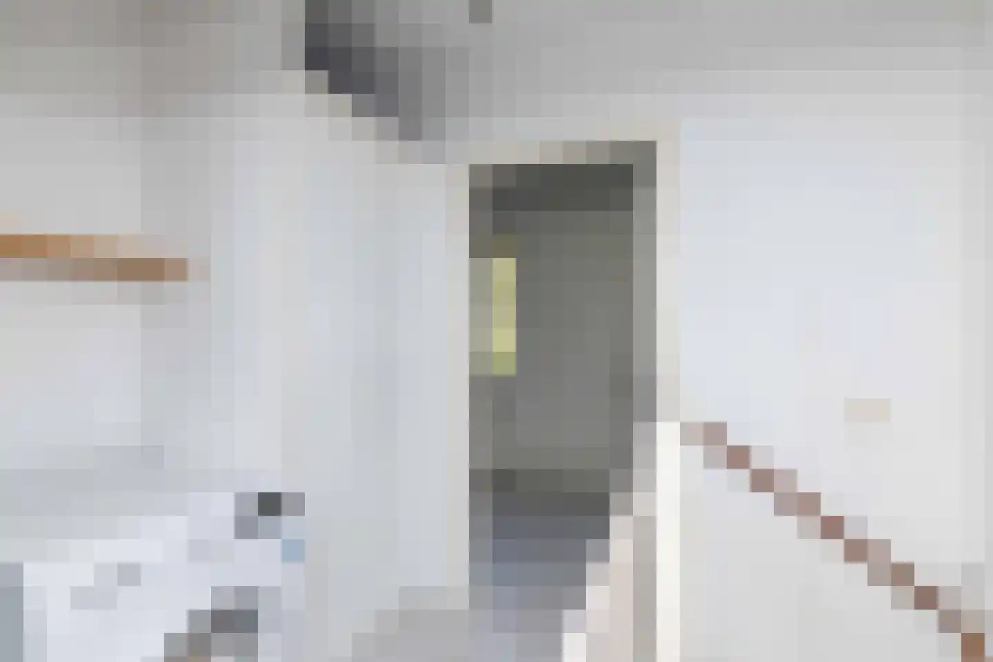 Eykmanhof 47 Hoogeveen thumbnail 30