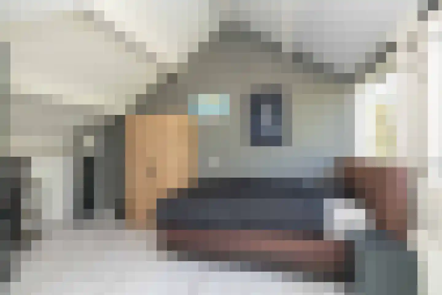 Eykmanhof 47 Hoogeveen thumbnail 31