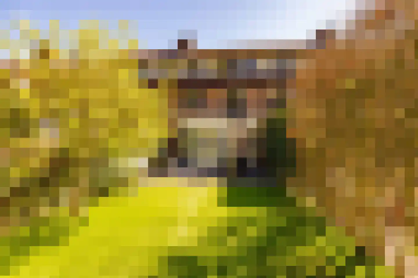 Eykmanhof 47 Hoogeveen thumbnail 37