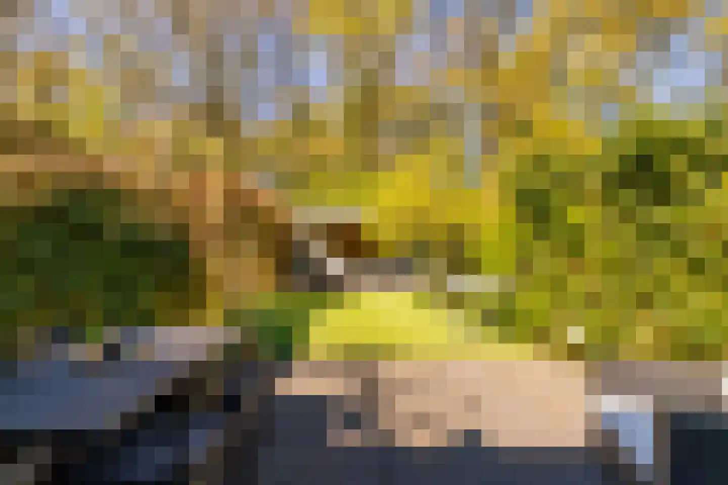 Eykmanhof 47 Hoogeveen thumbnail 38