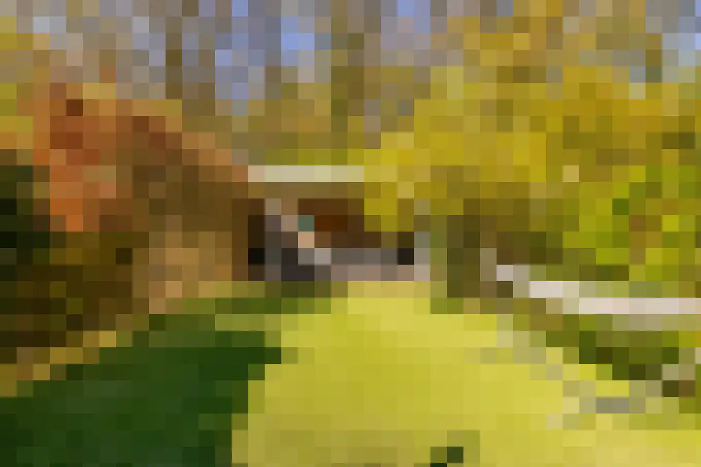 Eykmanhof 47 Hoogeveen thumbnail 39