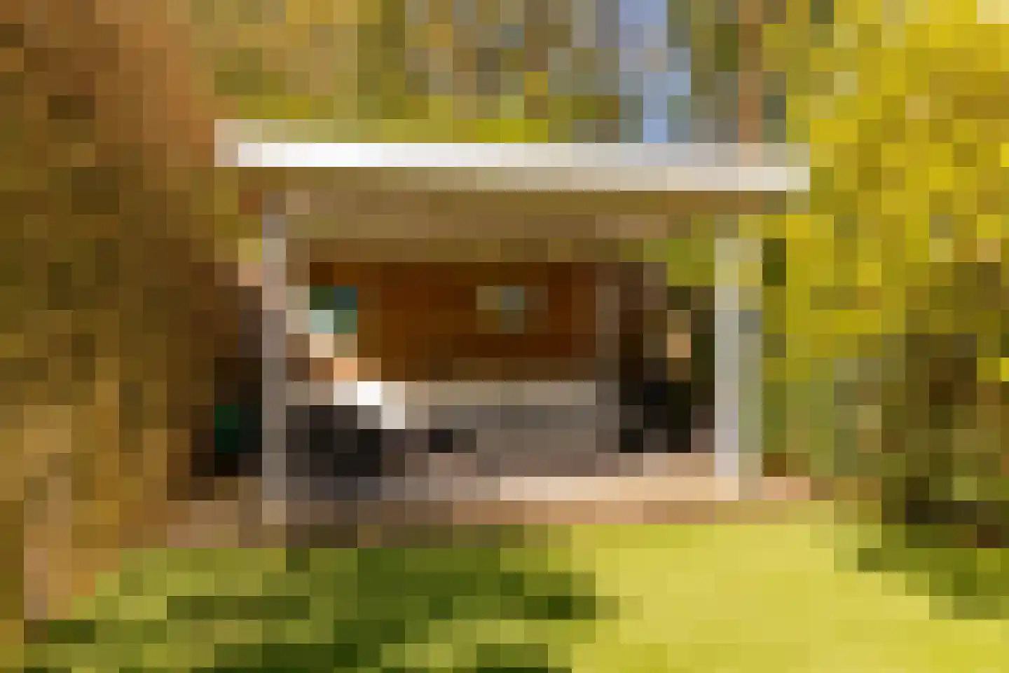 Eykmanhof 47 Hoogeveen thumbnail 40