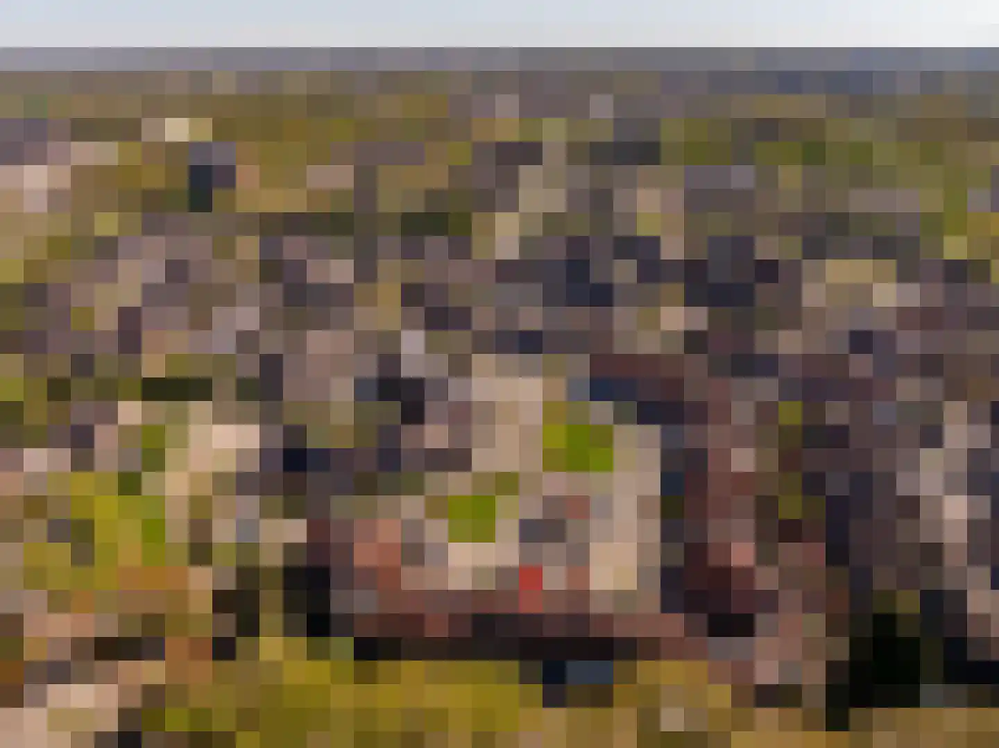 Eykmanhof 47 Hoogeveen thumbnail 46