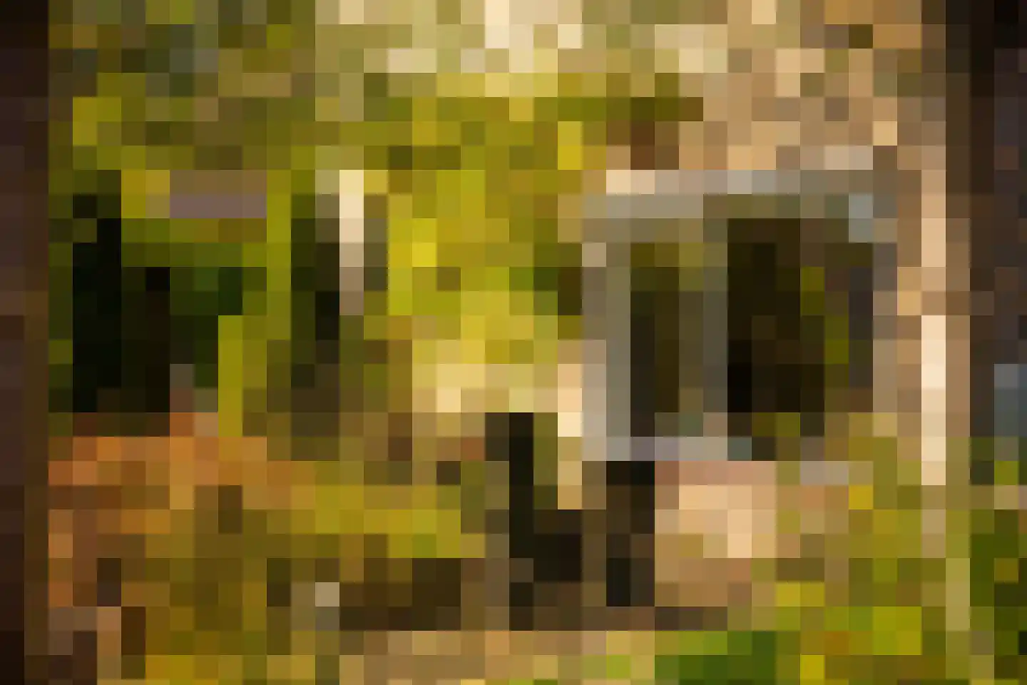 Eykmanlaan 1 Dieren thumbnail 10