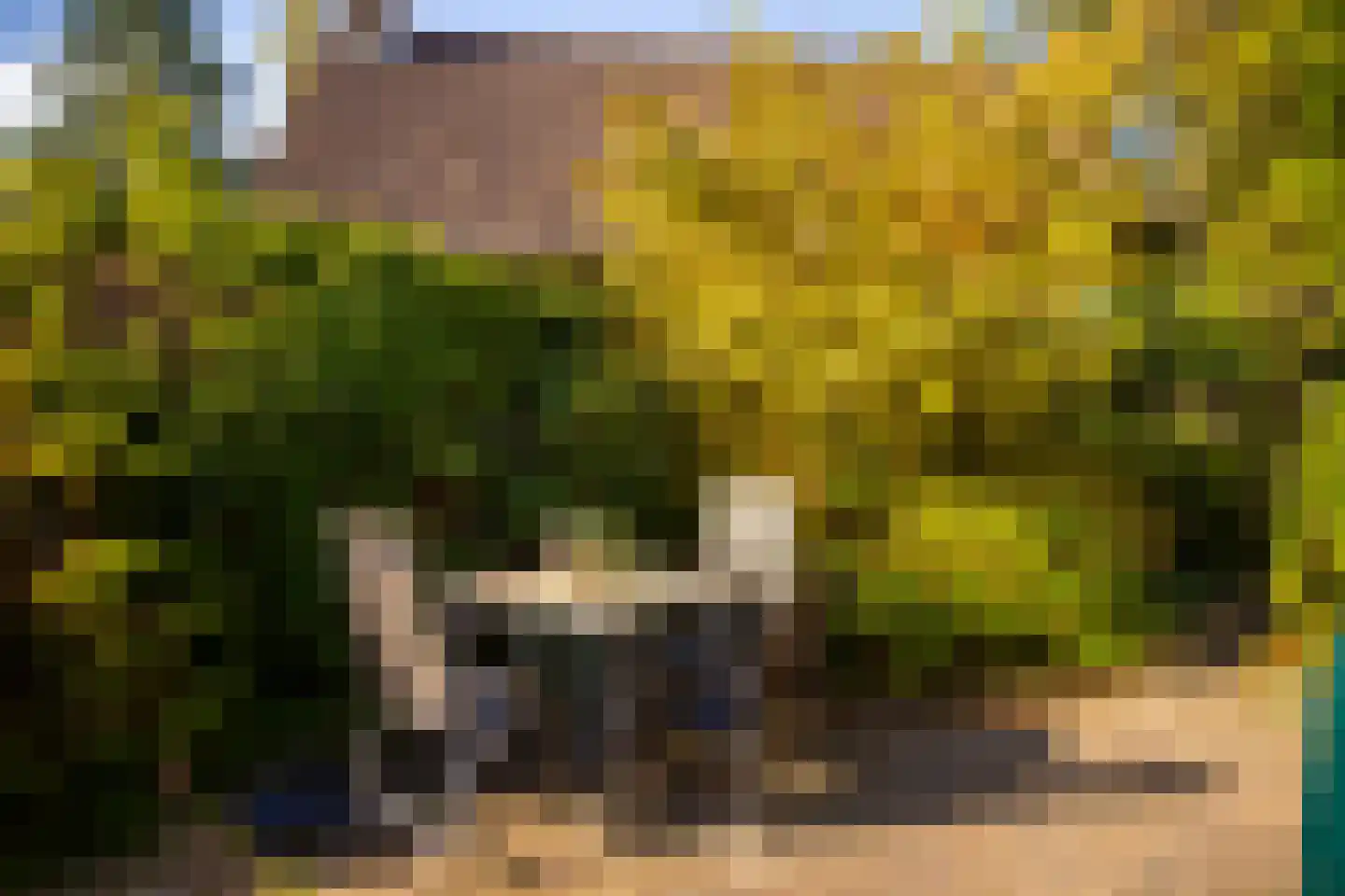 Eykmanlaan 1 Dieren thumbnail 26