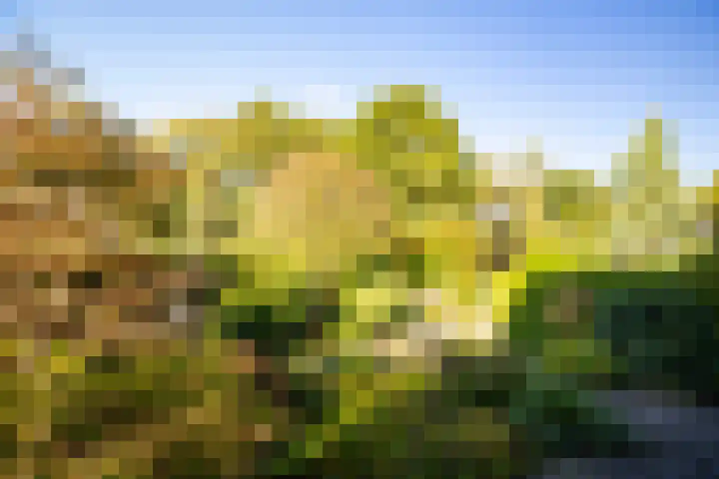 Eykmanlaan 1 Dieren thumbnail 29
