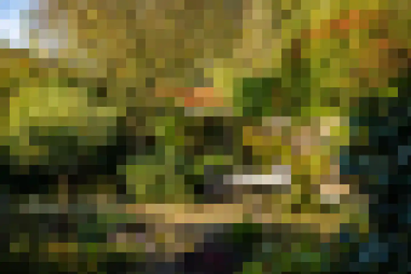 Eykmanlaan 1 Dieren thumbnail 32