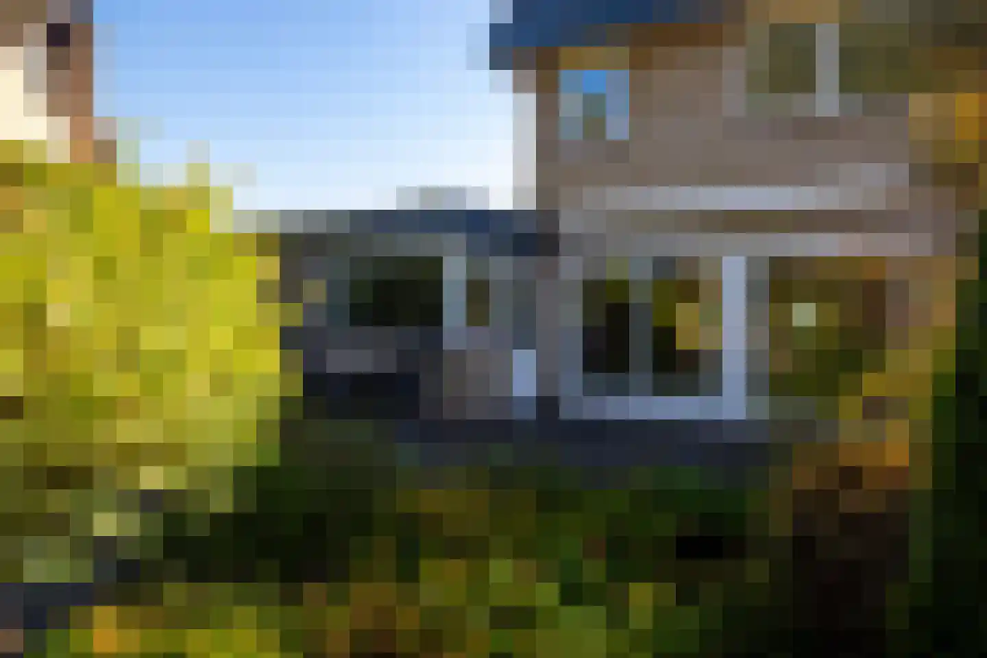 Eykmanlaan 1 Dieren thumbnail 34