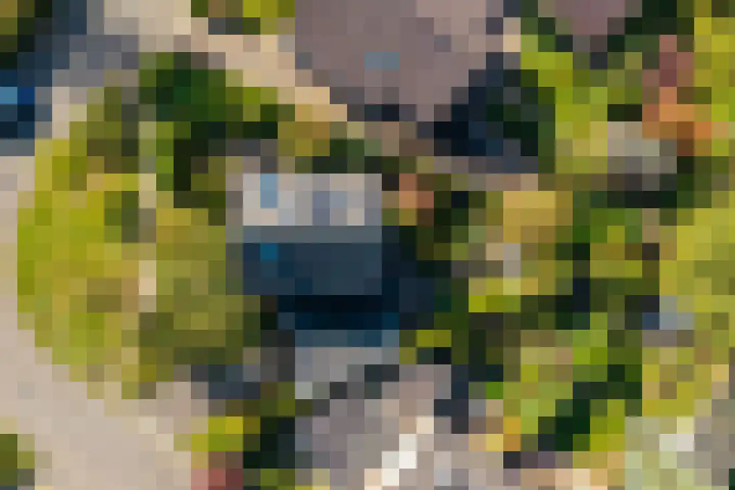 Eykmanlaan 1 Dieren thumbnail 46