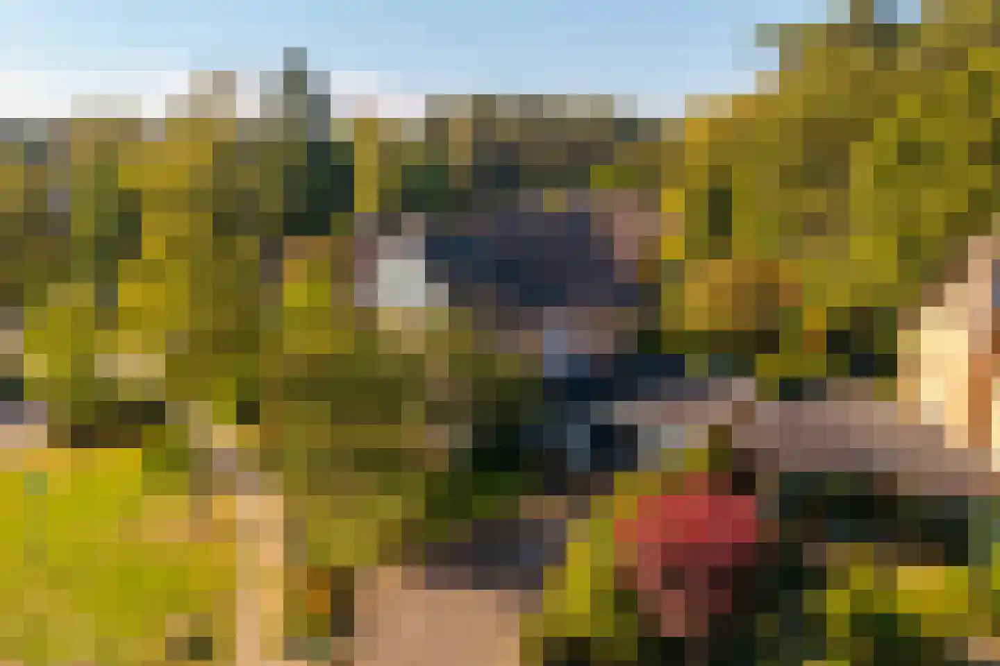 Eykmanlaan 1 Dieren thumbnail 47