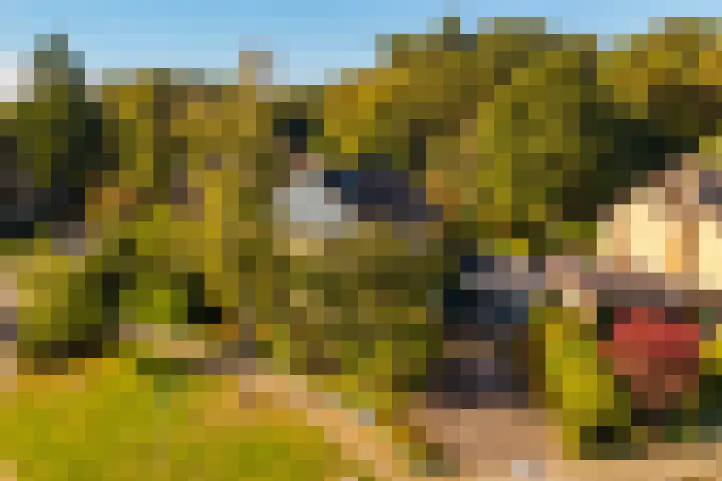 Eykmanlaan 1 Dieren thumbnail 48