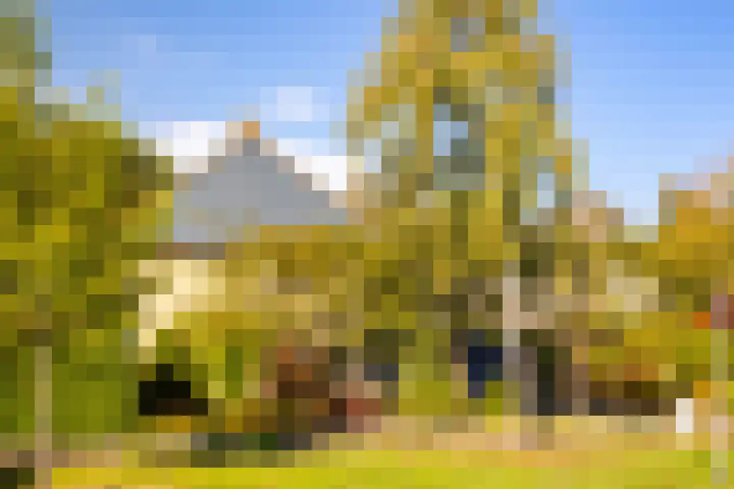 Eykmanlaan 1 Dieren thumbnail 9