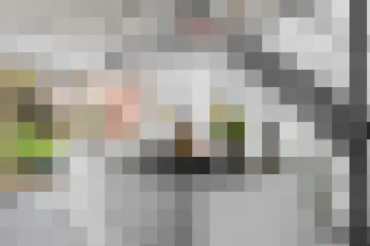 Eykmanlaan 132 Utrecht thumbnail 12