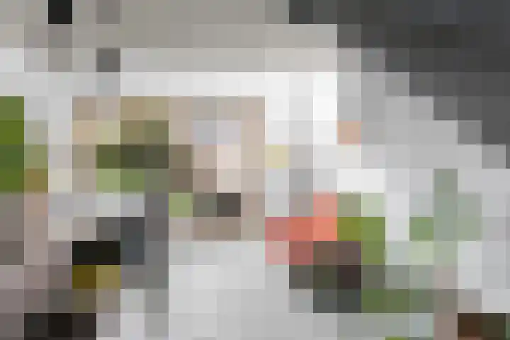 Eykmanlaan 132 Utrecht thumbnail 13