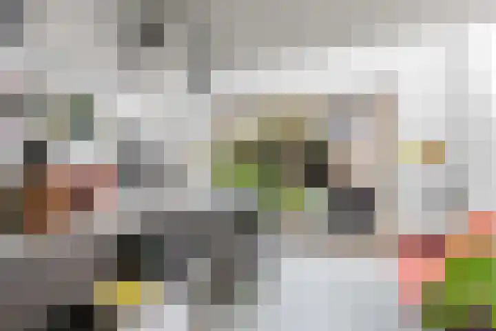 Eykmanlaan 132 Utrecht thumbnail 14