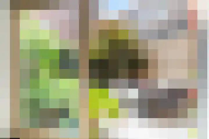 Eykmanlaan 132 Utrecht thumbnail 15