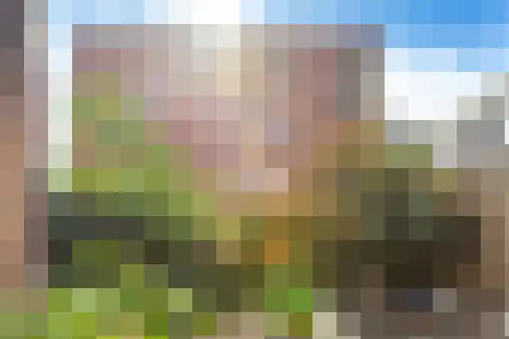 Eykmanlaan 132 Utrecht thumbnail 16