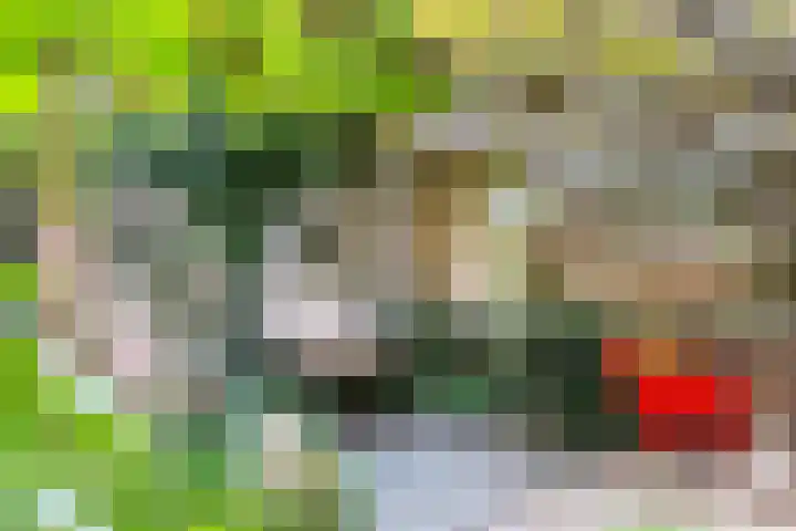 Eykmanlaan 132 Utrecht thumbnail 20