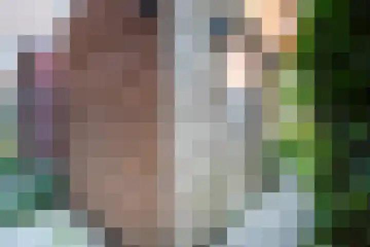 Eykmanlaan 132 Utrecht thumbnail 21