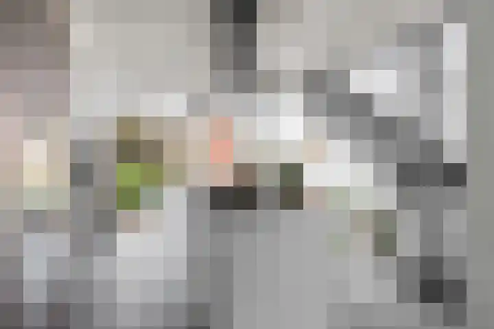 Eykmanlaan 132 Utrecht thumbnail 24