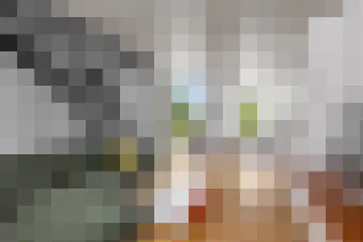 Eykmanlaan 132 Utrecht thumbnail 25