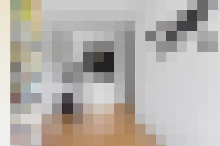 Eykmanlaan 132 Utrecht thumbnail 41