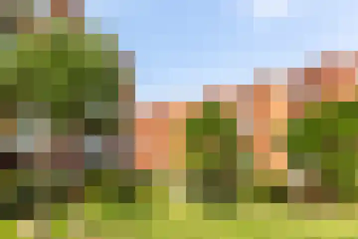 Eykmanlaan 132 Utrecht thumbnail 51