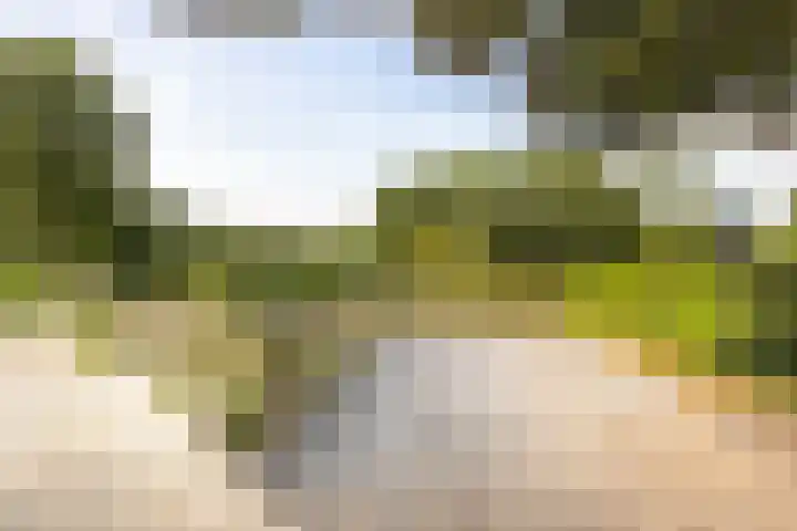 Eykmanlaan 132 Utrecht thumbnail 53