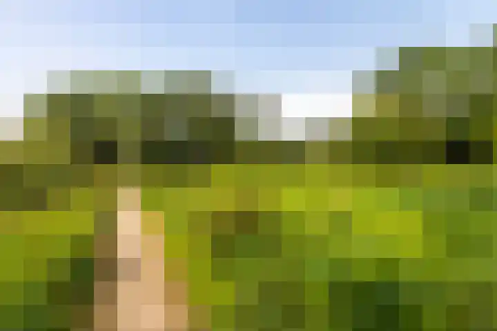 Eykmanlaan 132 Utrecht thumbnail 54