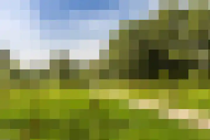 Eykmanlaan 132 Utrecht thumbnail 55