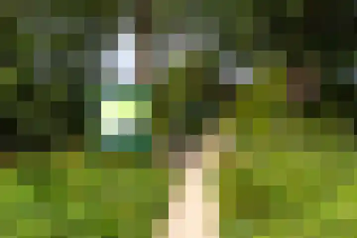 Eykmanlaan 132 Utrecht thumbnail 56